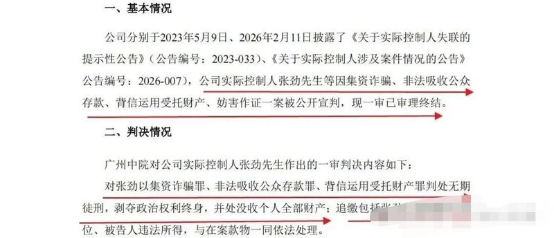 那个非法集资的集团老板，大结局了