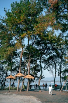  多家券商积极推进，北交所做市业务资格申请迎来新进展。 股票财经 多家券商积极推进，北交所做市业务资格申请迎来新进展。 股票财经 多家券商积极推进，北交所做市业务资格申请迎来新进展。 股票财经 多家券商积极推进，北交所做市业务资格申请迎来新进展。 股票财经 多家券商积极推进，北交所做市业务资格申请迎来新进展。 股票财经