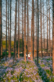  江苏省委组织部发布最新干部任职公示，涉及多位省管领导干部拟任新职。 新闻 江苏省委组织部发布最新干部任职公示，涉及多位省管领导干部拟任新职。 新闻 江苏省委组织部发布最新干部任职公示，涉及多位省管领导干部拟任新职。 新闻