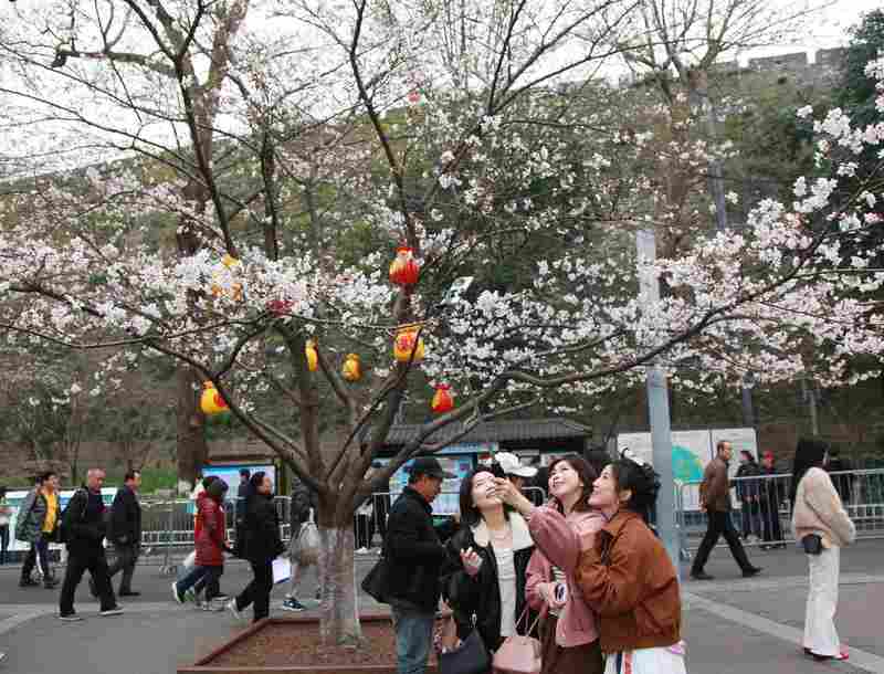  春日消费热潮涌动，沉浸式体验成为主流；跨界融合让一季花期延展无限。 文化旅游 春日消费热潮涌动，沉浸式体验成为主流；跨界融合让一季花期延展无限。 文化旅游