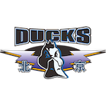  职业联赛波折期：从教练心态洞察竞技体育的成长逻辑 体育新闻 职业联赛波折期：从教练心态洞察竞技体育的成长逻辑 体育新闻