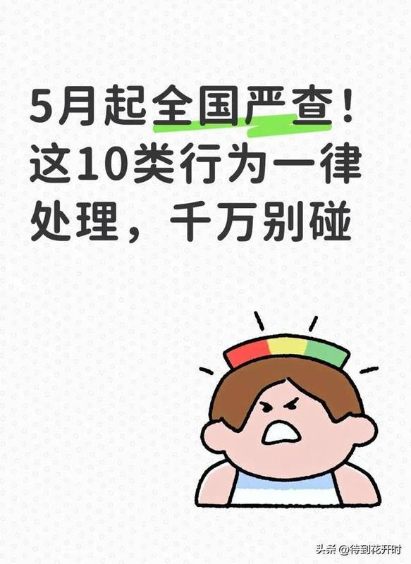 【重磅解读】5月全国专项整治启动：十大领域违规认定标准与合规边界全解析 新闻