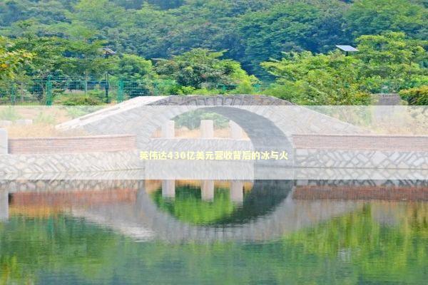 英伟达430亿美元营收背后的冰与火