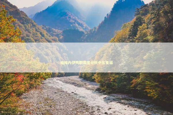 哈梅内伊殉职深度分析中东变局