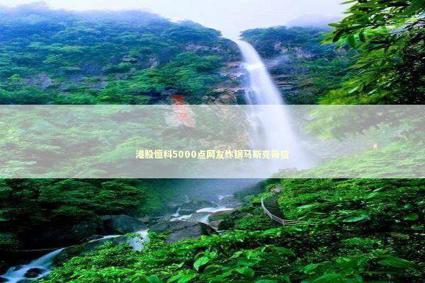 港股恒科5000点网友炸锅马斯克带货