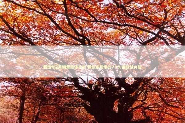 新造车2月销量集体扑街 极氪逆势增长70%金融战兴起