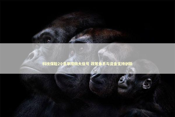 科技保险20条举措四大信号 政策体系与资金支持创新