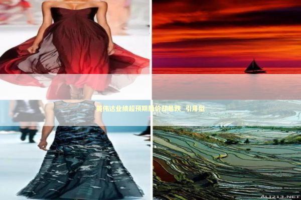 英伟达业绩超预期股价却暴跌_引用型