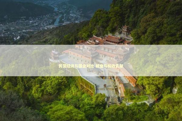 民营经济与国企对比 就业与税收贡献