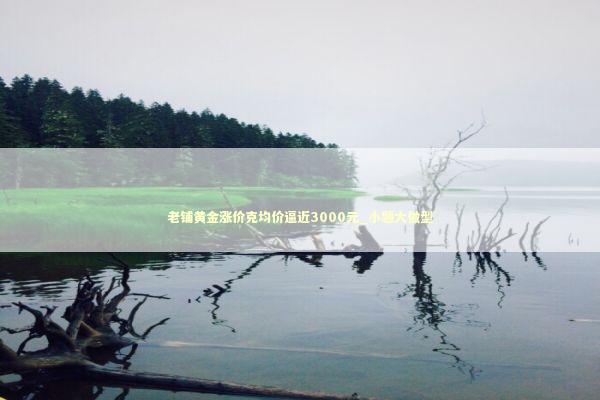 老铺黄金涨价克均价逼近3000元_小题大做型