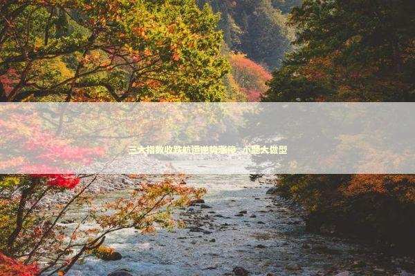 三大指数收跌航运逆势涨停_小题大做型