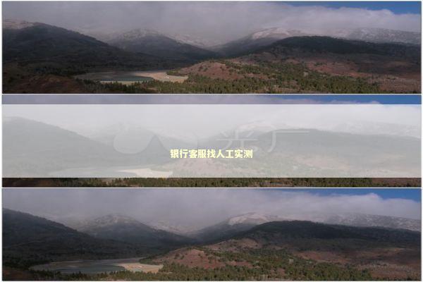 银行客服找人工实测