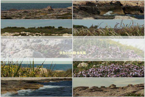 华为5GAI融合发展