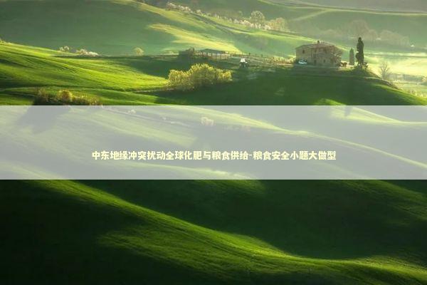 中东地缘冲突扰动全球化肥与粮食供给-粮食安全小题大做型