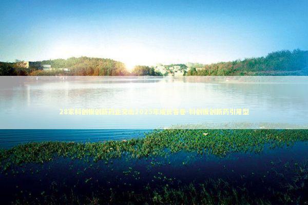 28家科创板创新药企交出2025年成长答卷-科创板创新药引用型