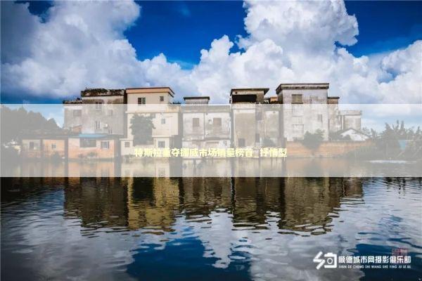 特斯拉重夺挪威市场销量榜首_抒情型