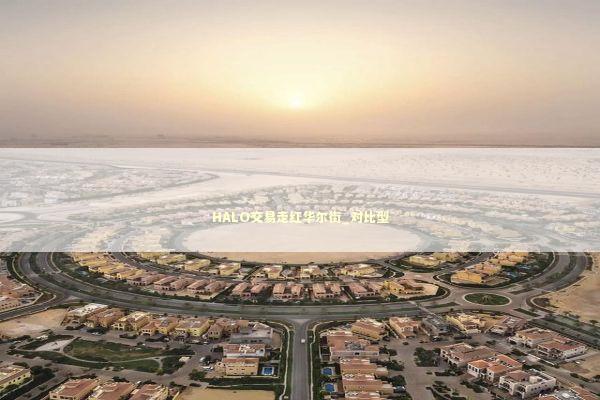 HALO交易走红华尔街_对比型