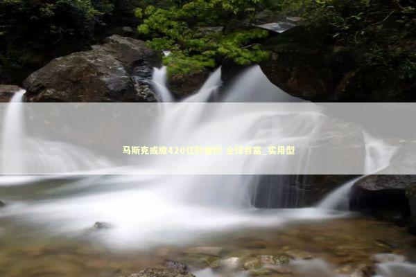 马斯克或缴420亿财富税 全球首富_实用型