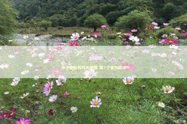 中小金融机构大地震 第7个省份出手