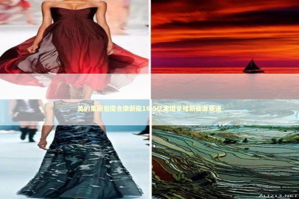 美的集团包揽合康新能16.5亿定增豪赌新能源赛道