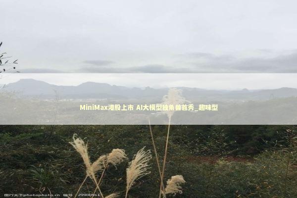 MiniMax港股上市 AI大模型独角兽首秀_趣味型