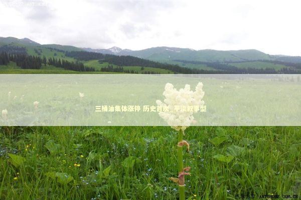 三桶油集体涨停 历史首次_平淡叙事型