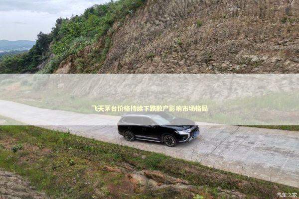 飞天茅台价格持续下跌散户影响市场格局