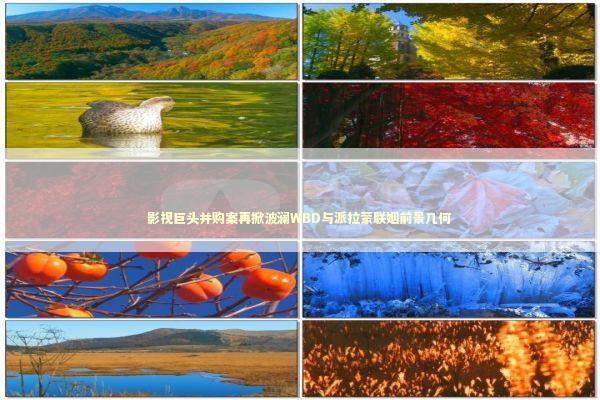 影视巨头并购案再掀波澜WBD与派拉蒙联姻前景几何