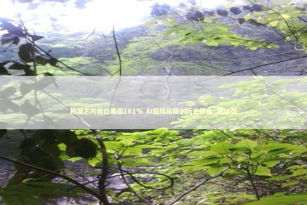 韩国芯片出口暴涨161% AI超级周期创历史新高_趣味型