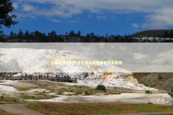 白酒市场结构性分化龙头估值修复机会显现