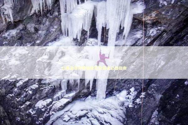 三桶油涨停数据速览投资者必备指南