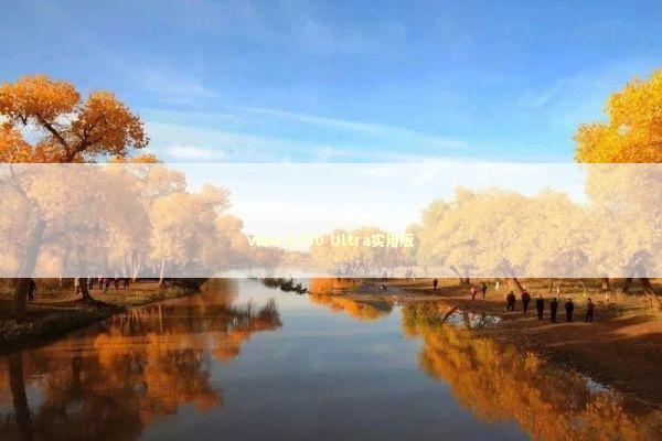 vivo X300 Ultra实用版