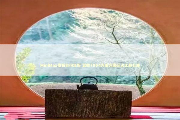 MiniMax发布首份年报 营收7904万美元国际占比超七成