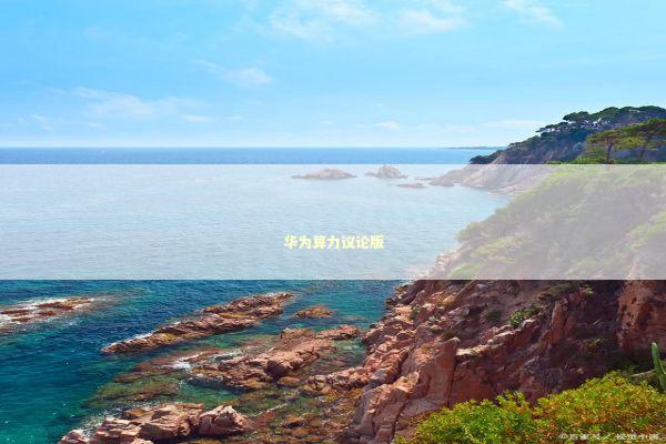 华为算力议论版