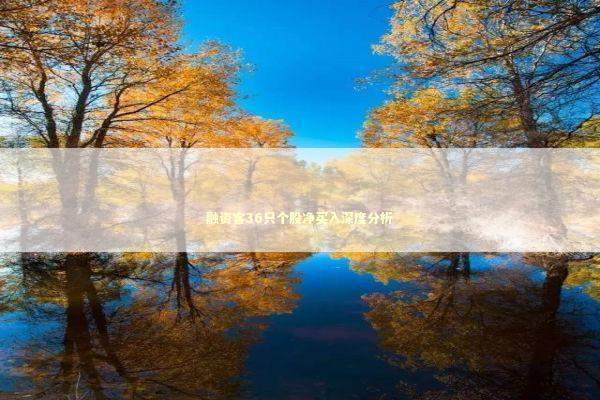 融资客36只个股净买入深度分析