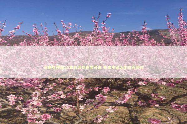 马斯克预言10年内劳动将变可选 未来不必为生存而劳作