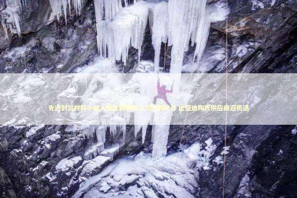 先进封装材料小巨人锦艺新材料二次冲刺IPO 比亚迪陶氏供应商迎机遇