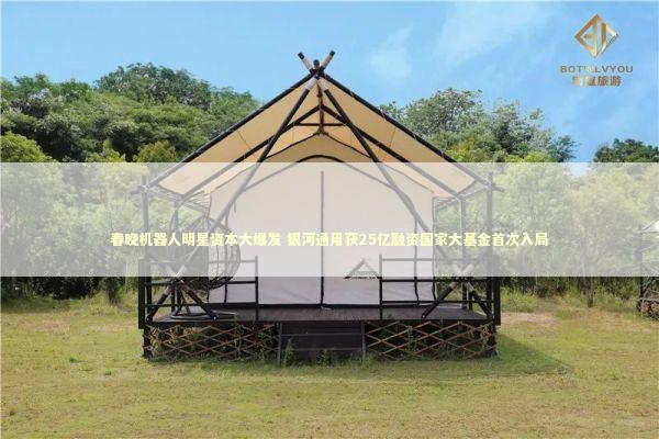 春晚机器人明星资本大爆发 银河通用获25亿融资国家大基金首次入局