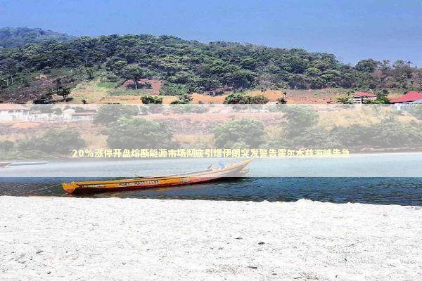 20%涨停开盘熔断能源市场彻底引爆伊朗突发警告霍尔木兹海峡告急