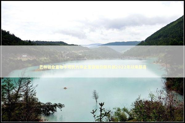 巴林铝业宣布不可抗力停止发货铝价飙升创2022年以来新高