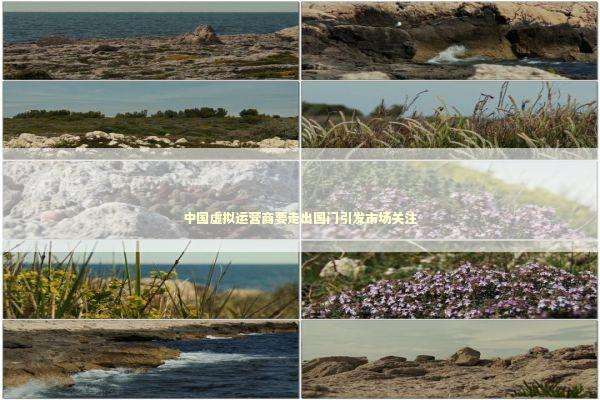 中国虚拟运营商要走出国门引发市场关注