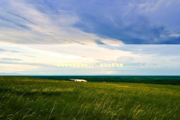 轮胎塞尔维亚智能工厂，首次全景亮相