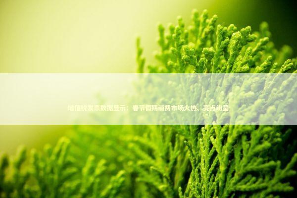 增值税发票数据显示：春节假期消费市场火热、亮点纷呈