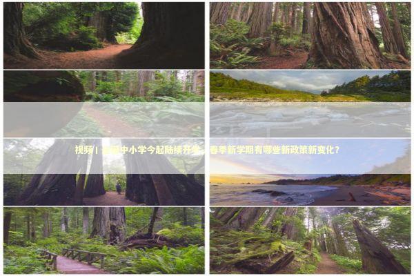 视频丨全国中小学今起陆续开学，春季新学期有哪些新政策新变化？