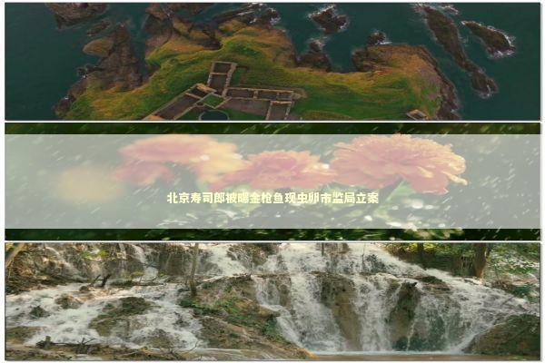 北京寿司郎被曝金枪鱼现虫卵市监局立案