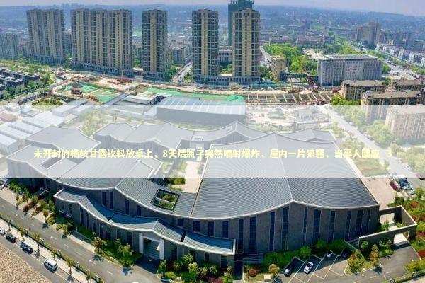 未开封的杨枝甘露饮料放桌上，8天后瓶子突然喷射爆炸，屋内一片狼藉，当事人回应_3