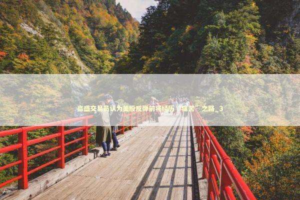 高盛交易员认为美股反弹前将经历“痛苦”之路_3