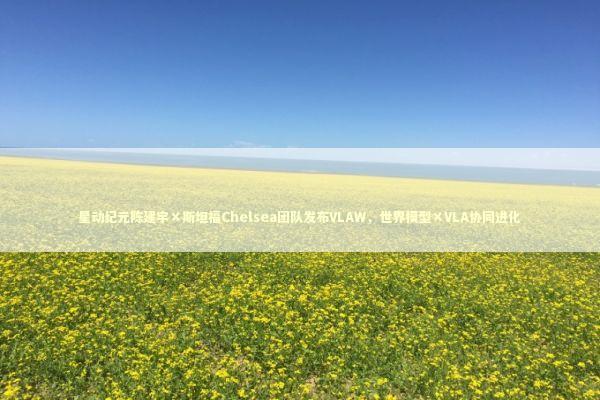 星动纪元陈建宇×斯坦福Chelsea团队发布VLAW，世界模型×VLA协同进化