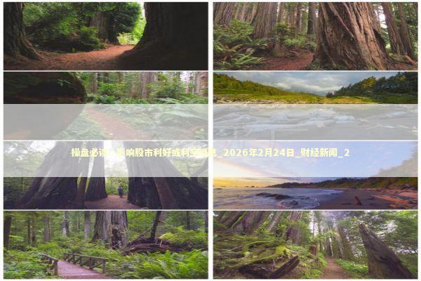 操盘必读：影响股市利好或利空消息_2026年2月24日_财经新闻_2