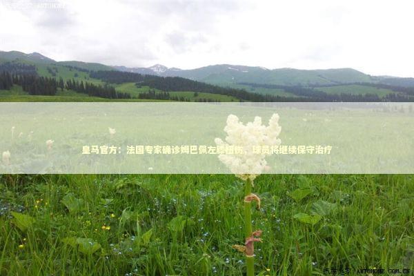 皇马官方：法国专家确诊姆巴佩左膝扭伤，球员将继续保守治疗